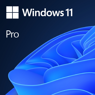 [11955307000] Microsoft Windows 11 Pro UK 11 Pro 1 Operating System Windows 11 Professional Operating Systems