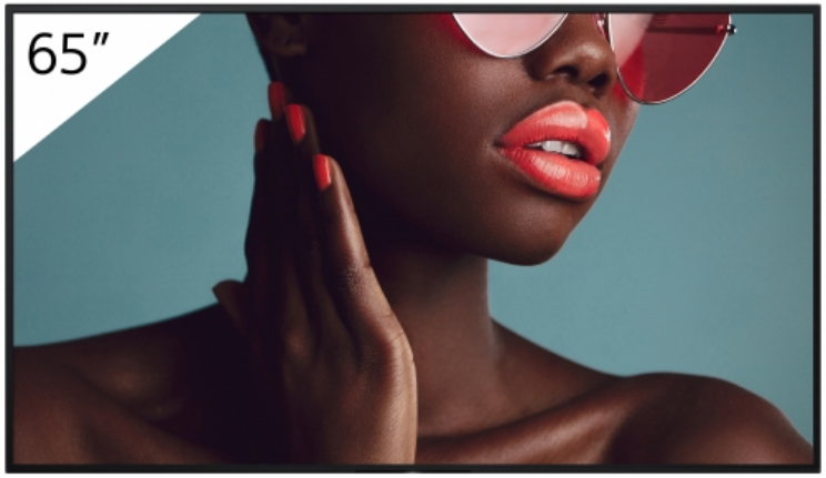 [16135858000] Sony FW-65BZ40L Digital signage flat panel 165.1 cm (65 inch) LCD 3840 x 2160 pixels Wi-Fi 24/7 Digitale Signage