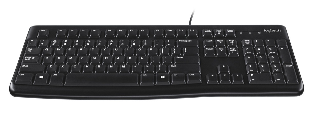 Logitech Keyboard K120 for Business Full-size (100%) Wired USB QWERTY Black Input Devices