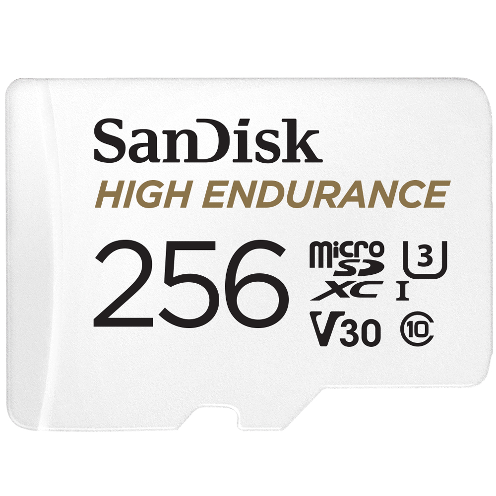 SanDisk High Endurance 256 GB MicroSDXC Class 10 UHS-I 100 MB/s 40 MB/s Flash Memory