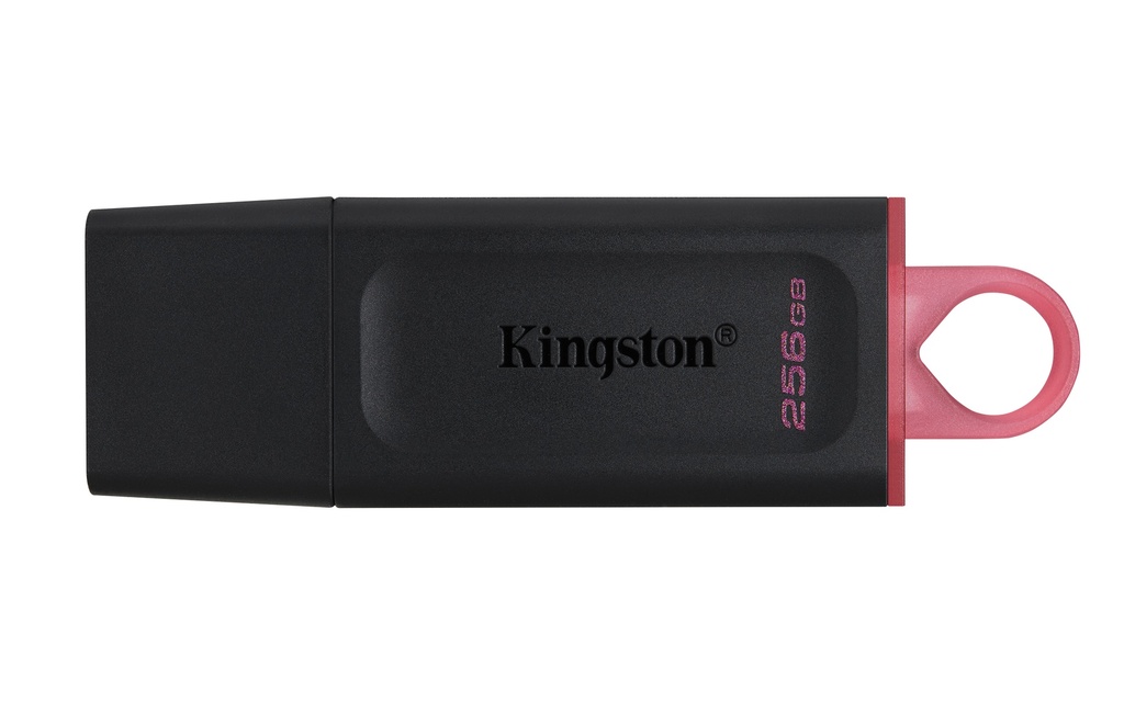 [9509487000] Kingston USB DataTraveler Exodia 3.2 Gen 1 USB flash drive 256 GB Flash Memory