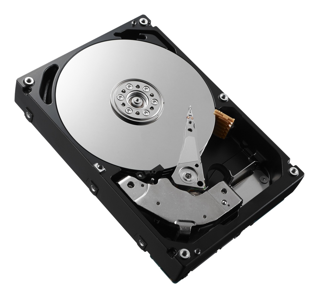 [14115384000] Dell 3.5 Sas 161-BBRX HDD SAS (SAS HDDs