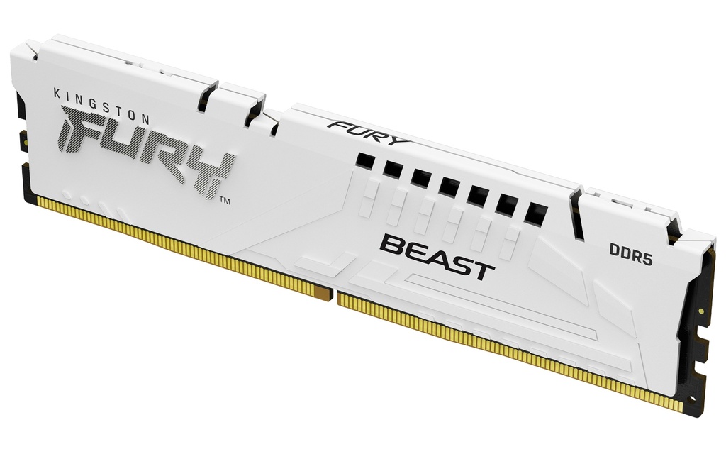 Kingston 6000MT/s CL30 DIMM Fury Beast 16 GB DDR 5 Memory Modules
